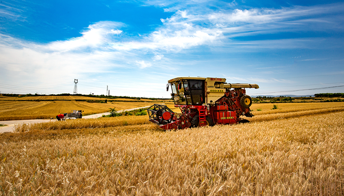 eb8d340dcb9049f5a67a3abf022afad3.jpg eb8d340dcb9049f5a67a3abf022afad3.jpg