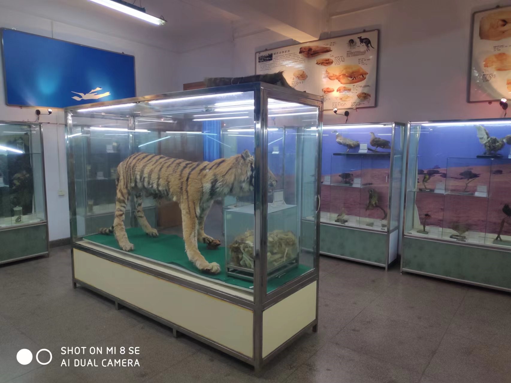 b8fe42f3603b42d3ab1148e79840be04.jpg b8fe42f3603b42d3ab1148e79840be04.jpg