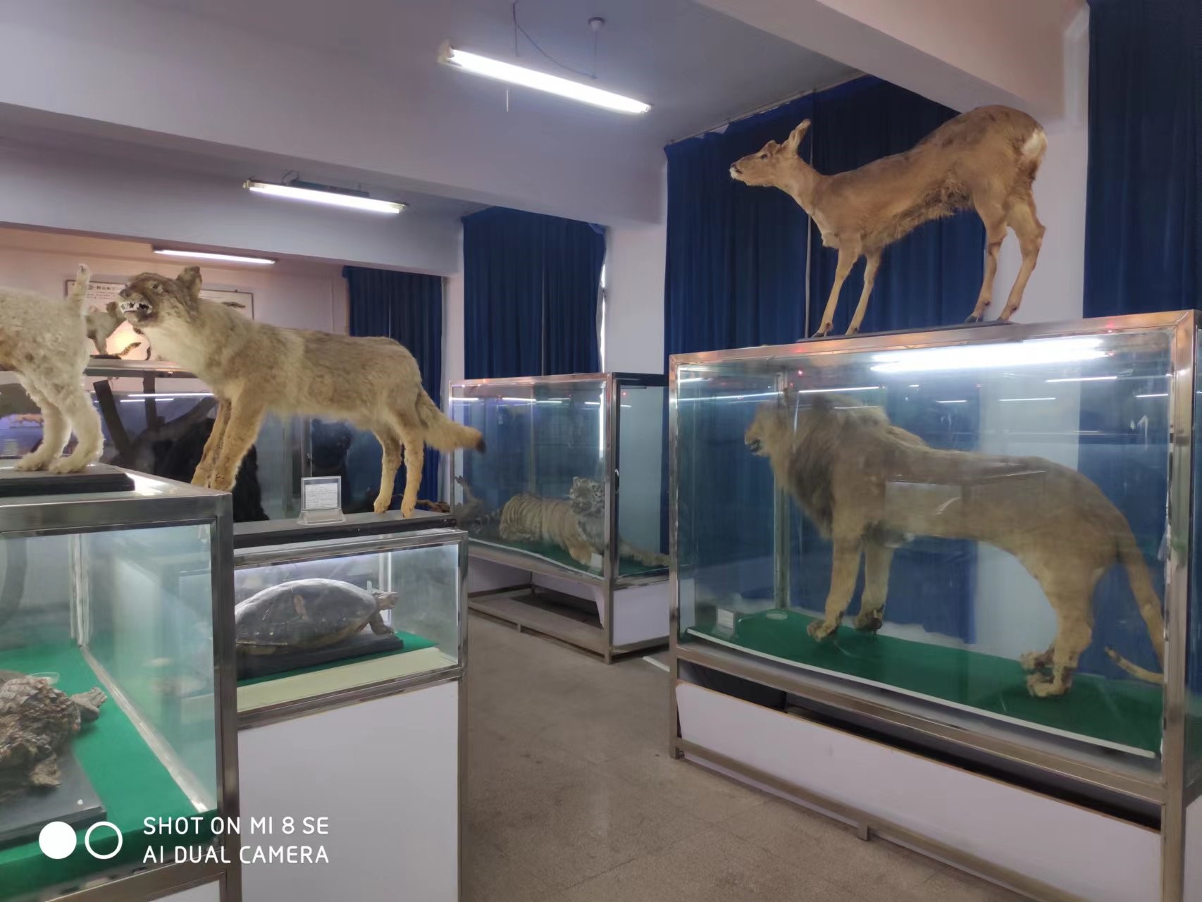 bcde3882c89d48f395261c8ef49b9cc8.jpg bcde3882c89d48f395261c8ef49b9cc8.jpg