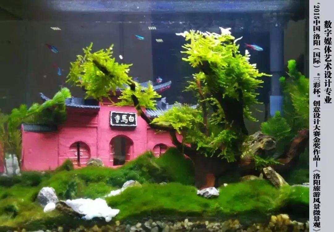 3ea45234693143678e472945cfa51843.jpg 3ea45234693143678e472945cfa51843.jpg